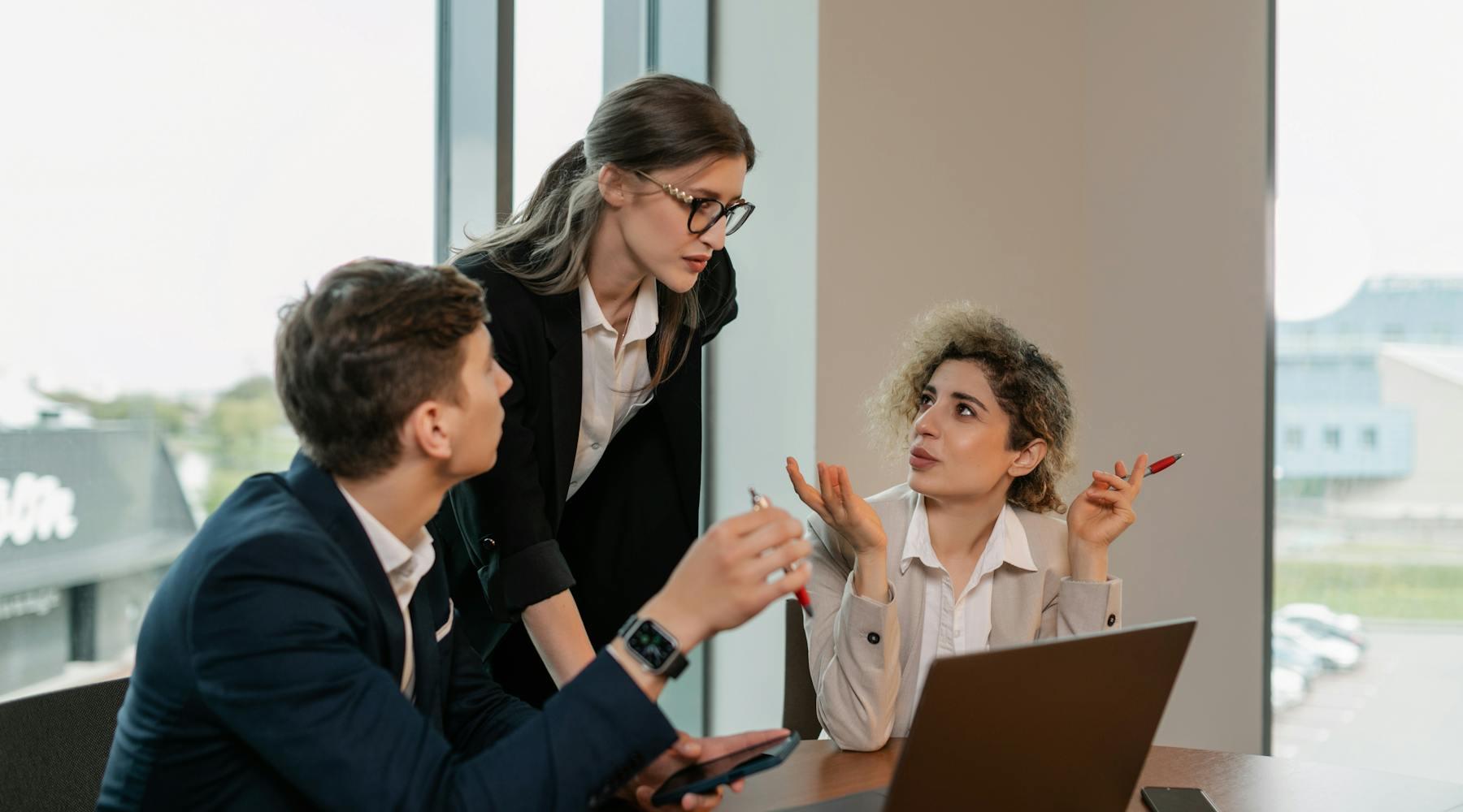 Professionals reviewing a laptop together during a consulting or project planning meeting.
